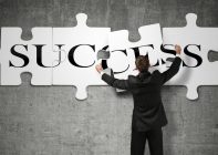 Success puzzle in business